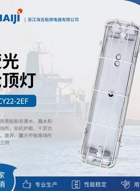 直销船用灯具防水荧光舱顶灯JCY22/32/42-2EF三防灯荧光灯