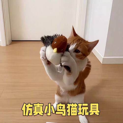 会飞的小鸟猫咪玩具自嗨解闷消耗体力神器宠物捕猎逗猫棒啃咬会叫
