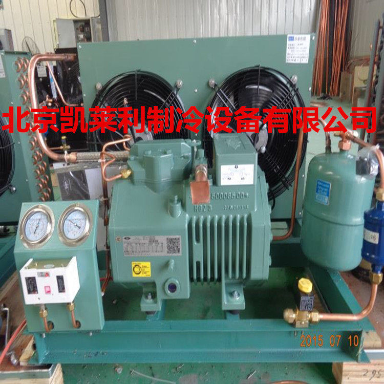 4CES-6北京比泽尔冷库机组 4CC-6.2保鲜库 制冷设备压缩机