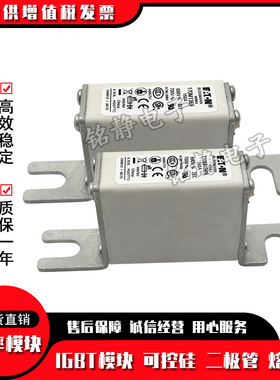 170M2762 170M2763 170M2764 170M2765熔断器巴斯曼170M2766