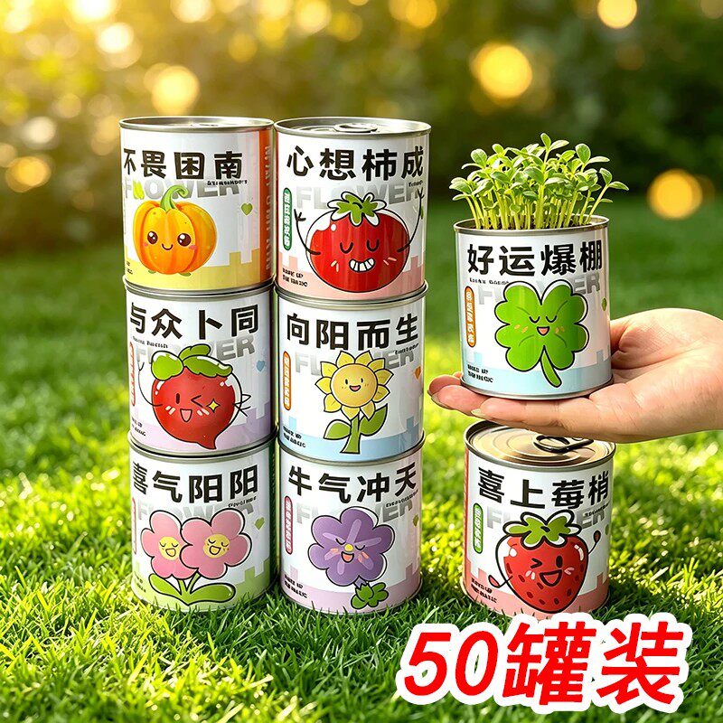 儿童罐头创意小盆栽礼物栽培桌面迷你绿植草莓向日葵种植种子盲盒