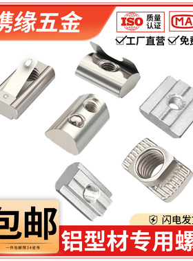 欧标t型螺母铝型材滑块弹性钢珠弹片20/30/40/45船型锤头国标螺帽