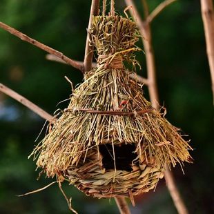 极速1pc Styglish Straw Bird Hut Exquisite Woven Bird Cage