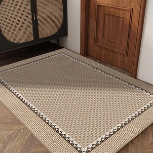 极速门门口地垫现代脚垫家用入户门D绒玄关简约入门垫防滑比利时