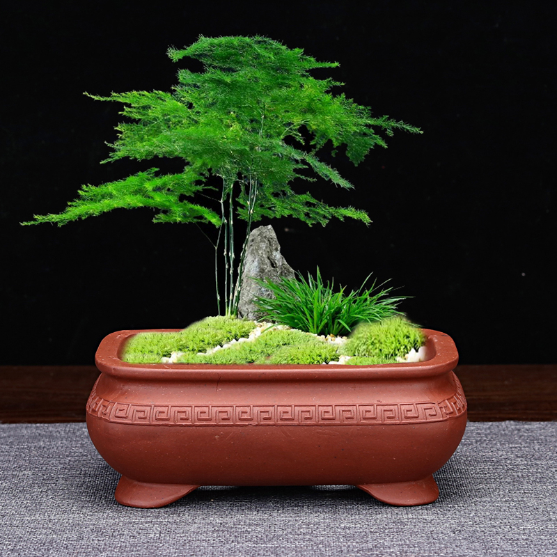 极速宜兴紫砂g花盆小口径迷你精品长方形四方桌面绿植简约多肉菖
