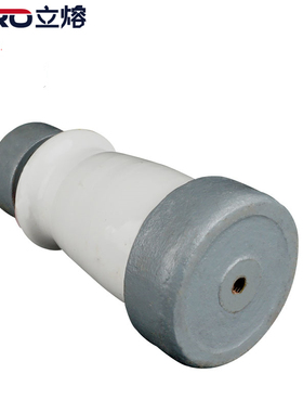 极速ZB-10Y ZB-10T高压支柱绝缘子 陶瓷绝缘子1R0KV绝缘子厂家直