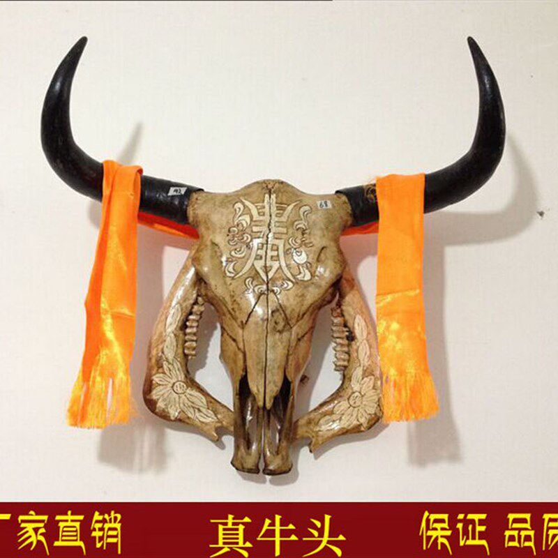 极速牦牛头骨工艺品 天然真牛头装饰品羊头M骨标本特色手工艺牛头