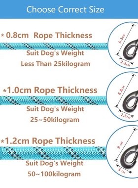 极速150/200/300cm Strong Dvog Leash Pet Leashes Reflective L