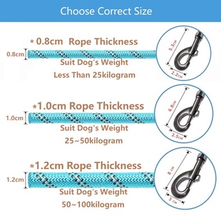 极速150/200/300cm Strong Dvog Leash Pet Leashes Reflective L