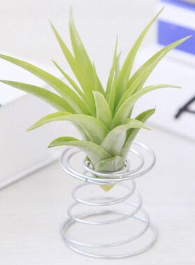 极速2022 Hot Sell Metarl Spring Air Plant Holder Hanging Rac