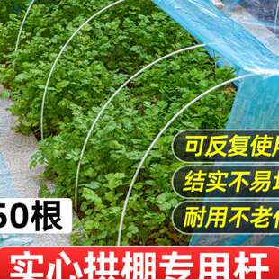极速小拱棚支架玻璃纤维杆大棚骨架配件新型搭棚架U子种菜棚架拱