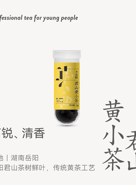 试壹管茶 君小仙君山黄小茶 岳阳黄茶小包装玉米香品鉴试喝茶叶