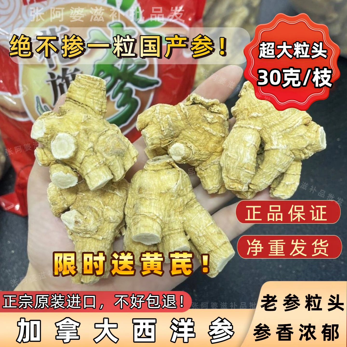 【送黄芪】正品加拿大西洋参超大粒头花旗参软质短枝特级足干无硫