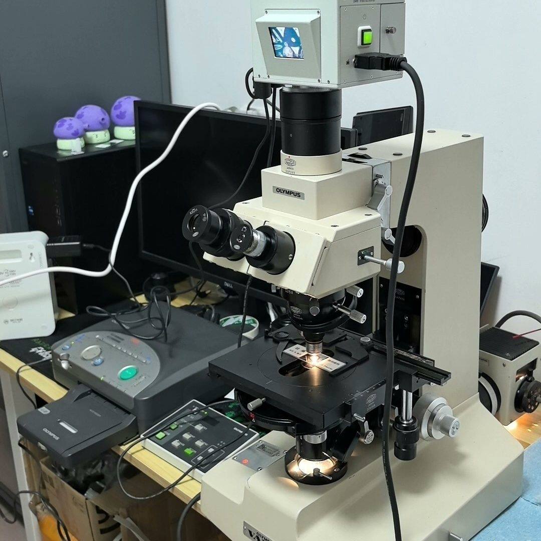 Цифровой микроскоп OLYMPUS/Olympus VANOXdic Изображение 1