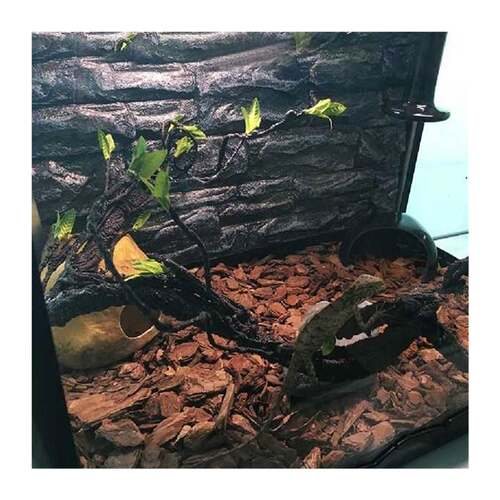 极速Cage Habitat Chameleon ArtificialH Reptile Vine Terrariu