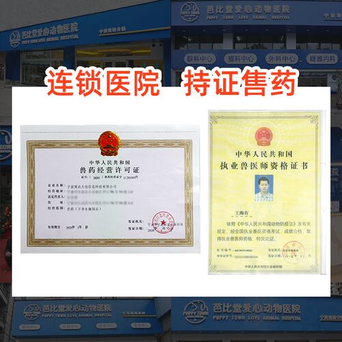 新品皇家SC36VCN老年猫专业配方全价猫粮1.5kg一阶段7.岁以上老年