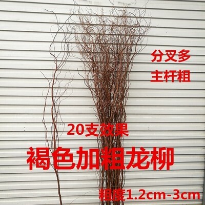 极速2018f龙须柳干花家居装饰摆设艺术树枝干枝拍摄自然道具龙柳