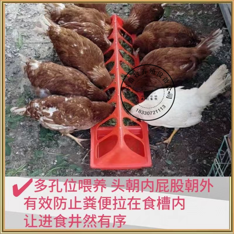 极速鸡鸭鹅大食i槽喂食防撒养鸡鸭喂料槽长方形水料一体大鸡食盒