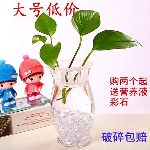 新品水培创意玻璃花瓶绿萝花盆养鱼花瓶瓶子恐龙S蛋植物透明富贵