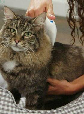 极速Pet Flea Lice Cleanter Comb Electronic Dog Flea Cleaning