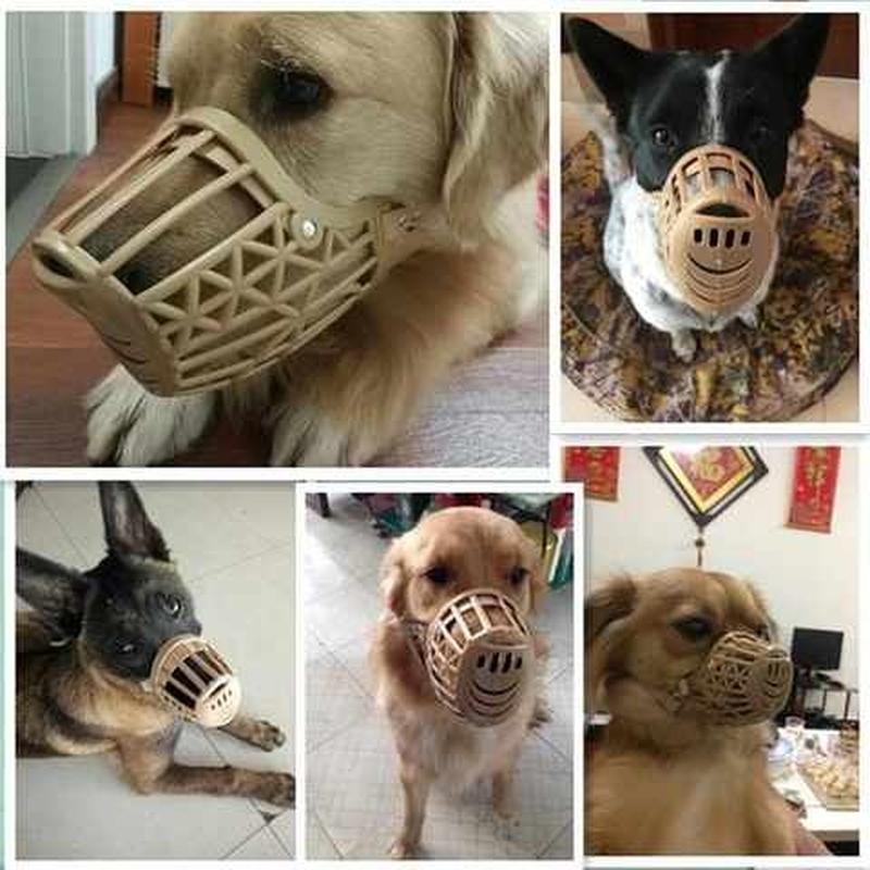 极速狗嘴套狗嘴罩泰迪金毛中小型大型犬防咬防叫器止X吠器防乱吃