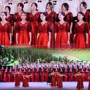 极速长款V领中袖宴会n学生晚礼服裙2025新款结婚敬酒服演出服合唱