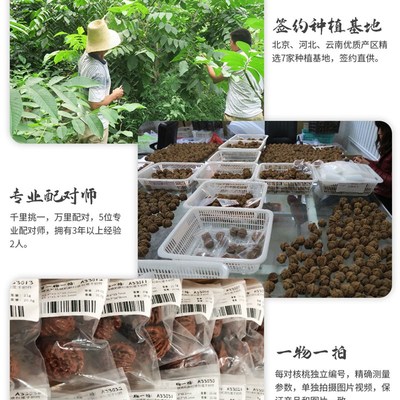 王勇麒麟纹官帽文l玩核桃精品一物一图矮桩大尺寸手工打底一对把
