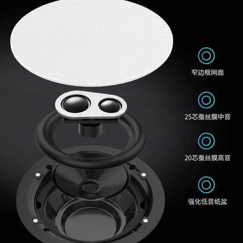 创智JiHiFi新J9家庭背景音乐主机系统套装高低音分频吸顶喇叭音响