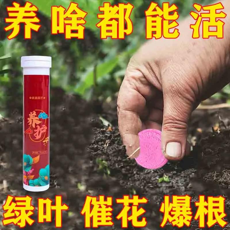 植物营养缓释片通用性花肥家用盆栽复合绿植神器养花专用水溶性肥