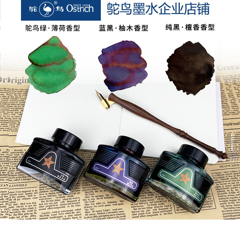 鸵鸟彩色钢笔黑色蓝黑非碳素学生中性墨水不堵钢笔水书法练字用