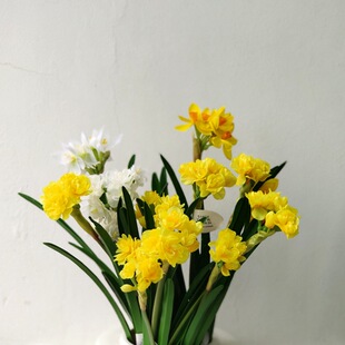 仿真复瓣水仙花绢花摆件 室内花卉客厅假花设计师装饰品摆设