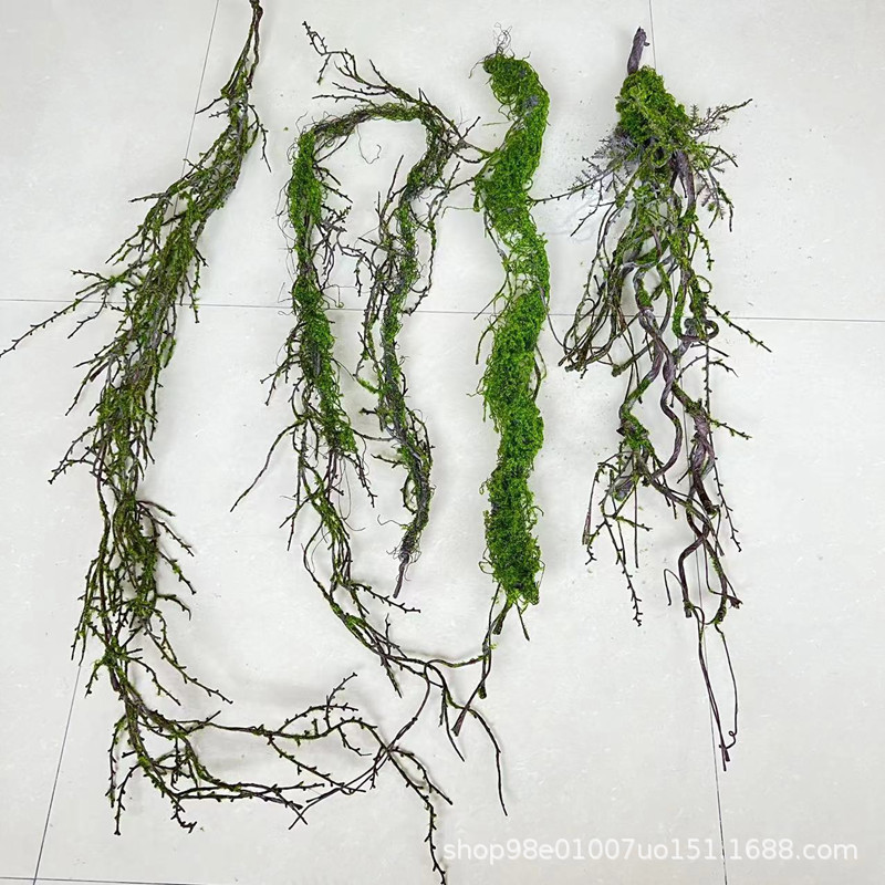 仿真青苔枯藤藤条 装饰工程造景假树枝雨林森系搭配藤蔓摆放树藤