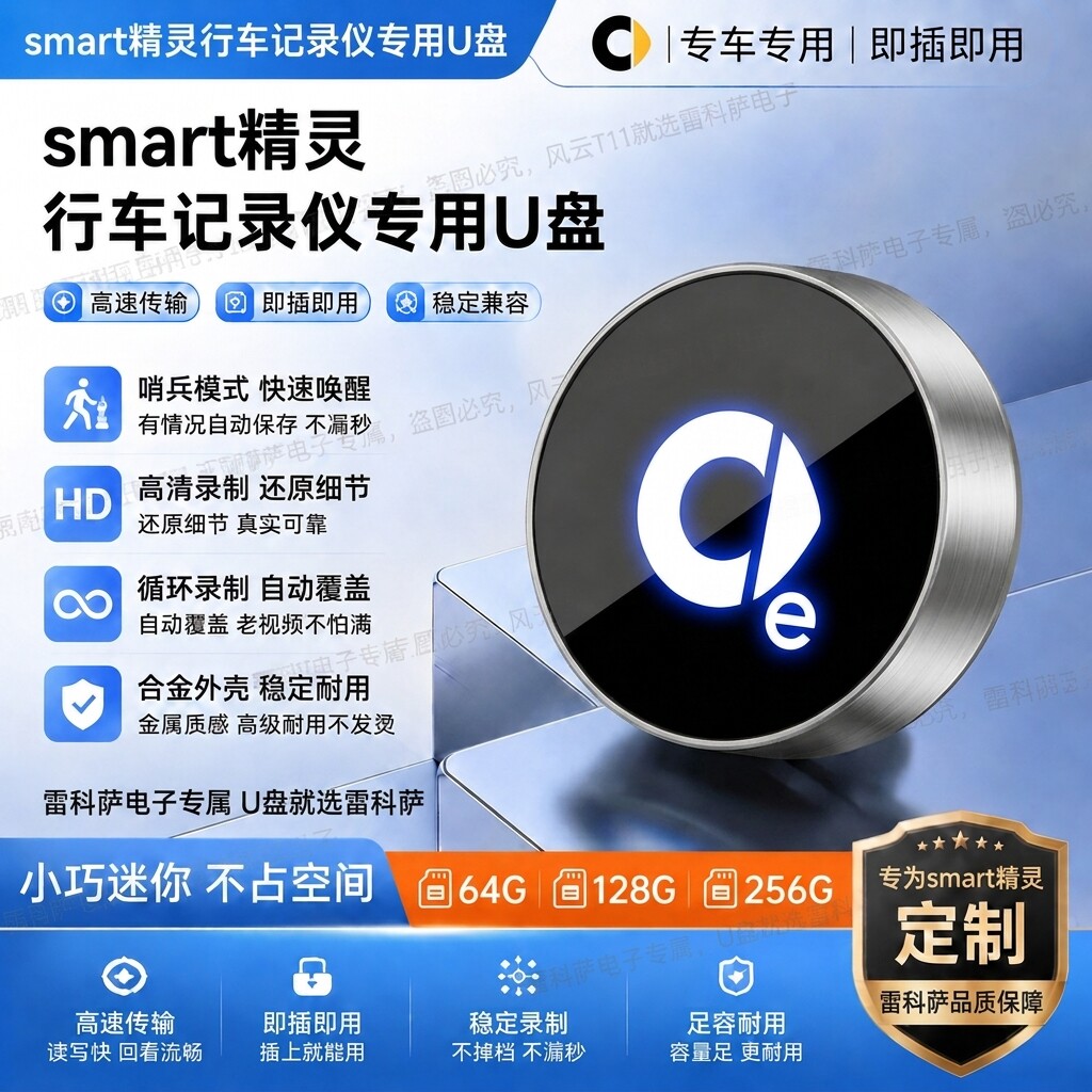 适用Smart精灵哨兵模式U盘车载精灵1号/5号停车监控专用typec优盘