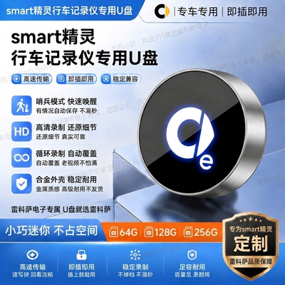 适用Smart精灵哨兵模式U盘车载精灵1号/5号停车监控专用typec优盘