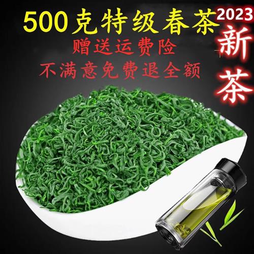 2023新茶叶特级日照绿茶春茶板栗香豆香炒青耐泡500克浓香散装