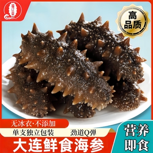 【无冰衣】大连鲜食海参即食海参鲜活辽刺参新鲜参营养速食单只装