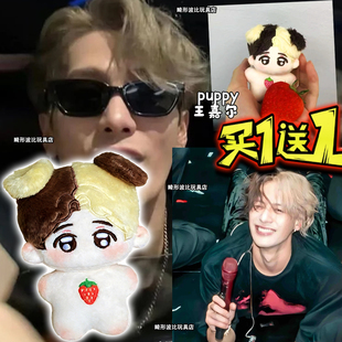 王嘉尔棉花娃娃玩偶puppy陈奕迅Q版明星周边玩偶毛绒公仔可爱挂件