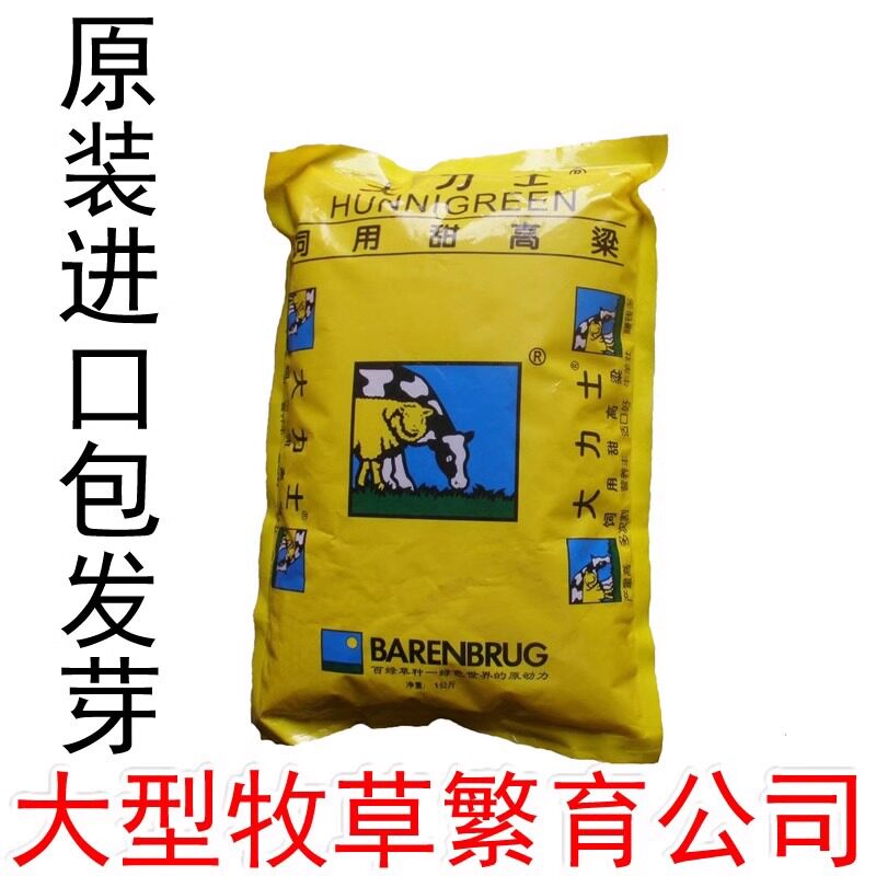 大力士甜高粱种子增润饲用四季牧草种籽百绿原装进口养殖高产饲草