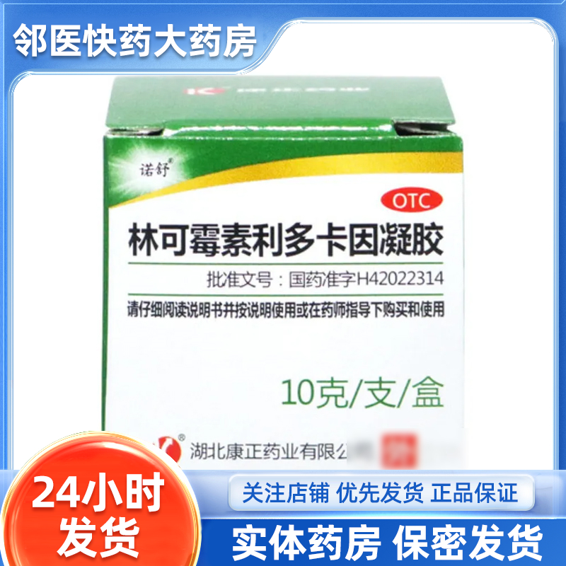 诺舒 林可霉素利多卡因凝胶 10g*1支/盒