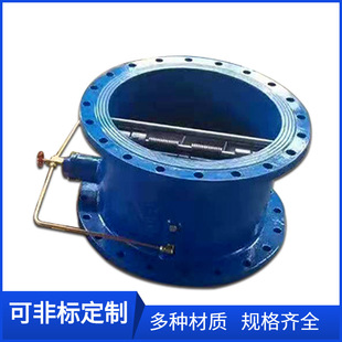 HH49X-10Q球磨铸铁微阻缓闭蝶式止回阀DN400微阻止回阀DN350 500