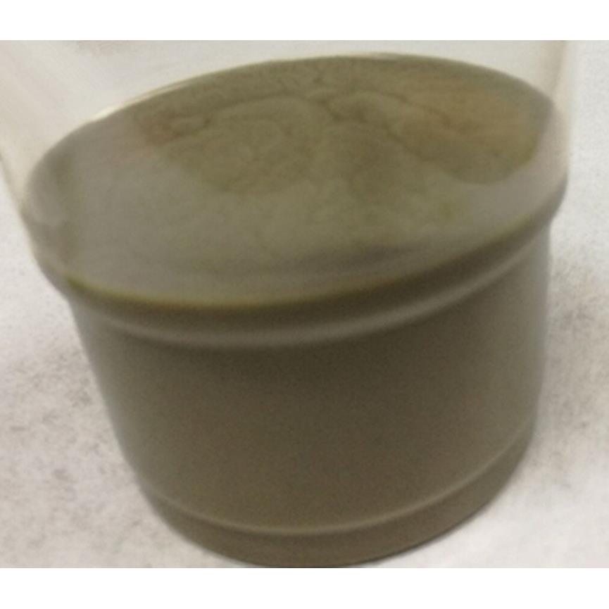 D35-45nm,L10-20μm纳米银线水分散液/nanoamor公司/1g