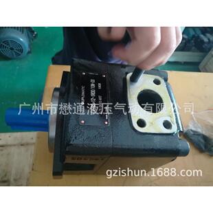 10N 1R00 迪普马DUPLOMATIC叶片泵FV6C