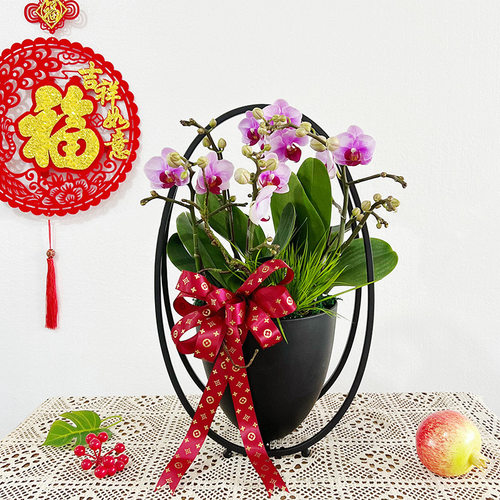 中式仿真冬青假花福桶蝴蝶兰花盆金色花篮客厅室内装饰摆件批发