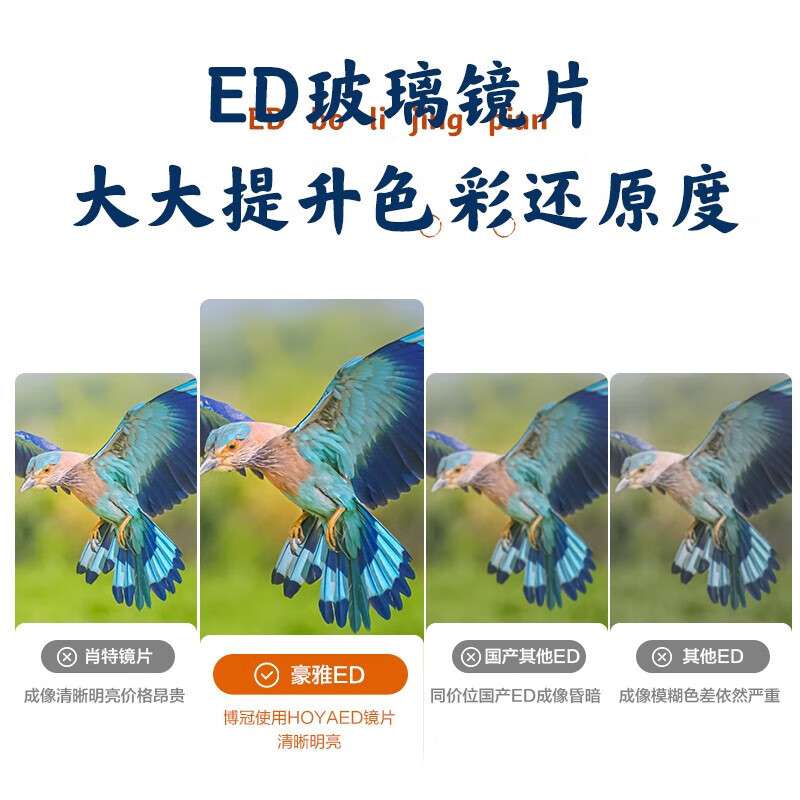 博冠（BOSMA）瑞鹤ED双筒望远镜短焦比广角充氮防水高倍高清微光