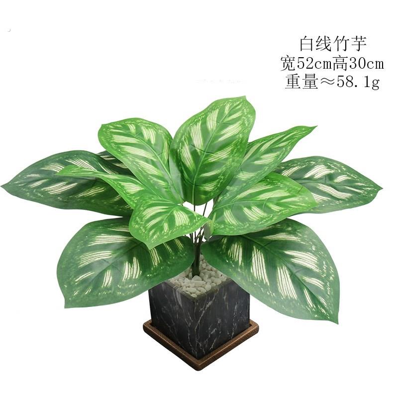 彷真绿色植物 彷真盆栽 室内彷真绿色植物盆栽装饰 彷真大号竹芋