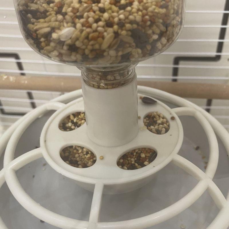 自动鸟鹦鹉喂食器防溅鸟食盒自动下料虎皮牡丹玄凤挂盒鸟食投喂器