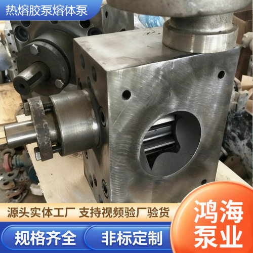 熔体齿轮泵RT熔体泵热熔胶泵塑料挤出机不锈钢熔体泵高温熔喷泵