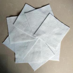 土工布 防汛防尘渗水护坡道路养护反滤 生产厂家现货长丝土工布