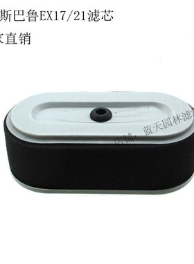 罗宾斯巴鲁EX17 EX21发动机平板夯冲击夯水泵园林空气滤芯