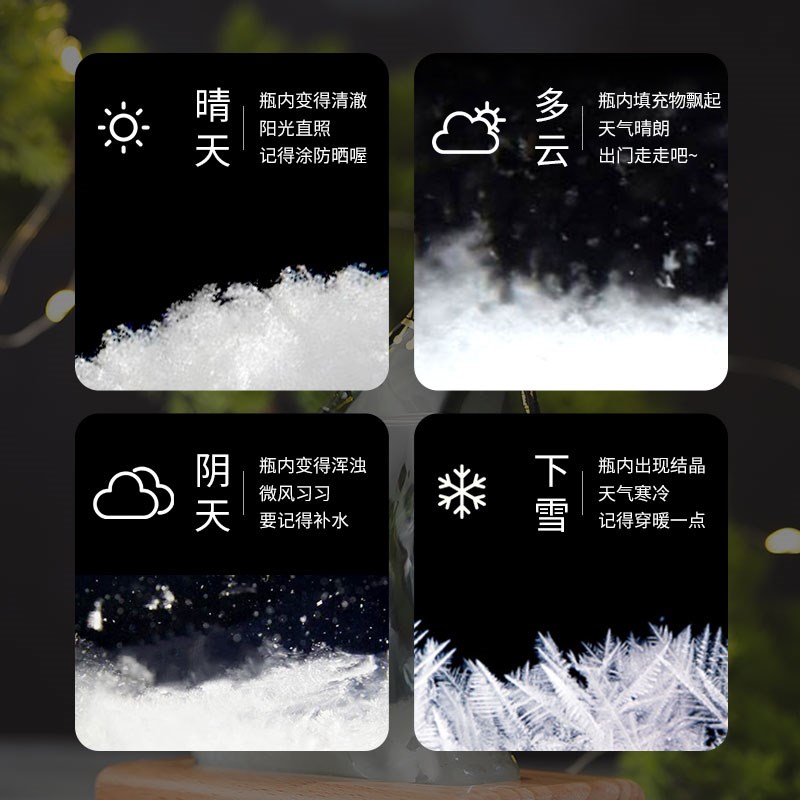 大英博物馆天气风暴瓶安德森猫桌面摆件情绪O稳定装饰摆件节日礼